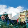 DIGITAL - OPEN WATER DIVER VIDEO - STUDENT EDITION