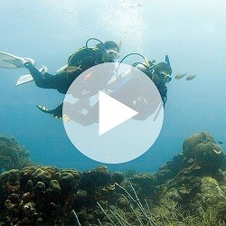 Digital - Deep Diver Video...