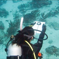 eLearning - Underwater Navigator