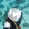 Digital - Underwater Navigator Video - Student Edition