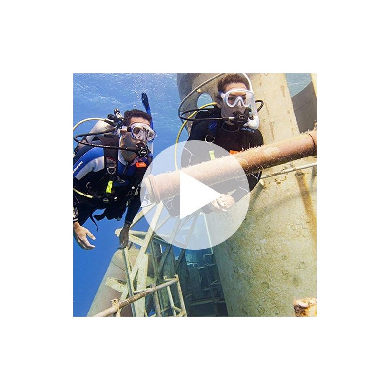 Digital - Wreck Diver Video - Student Edition