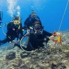 eLearning - Drift Diver