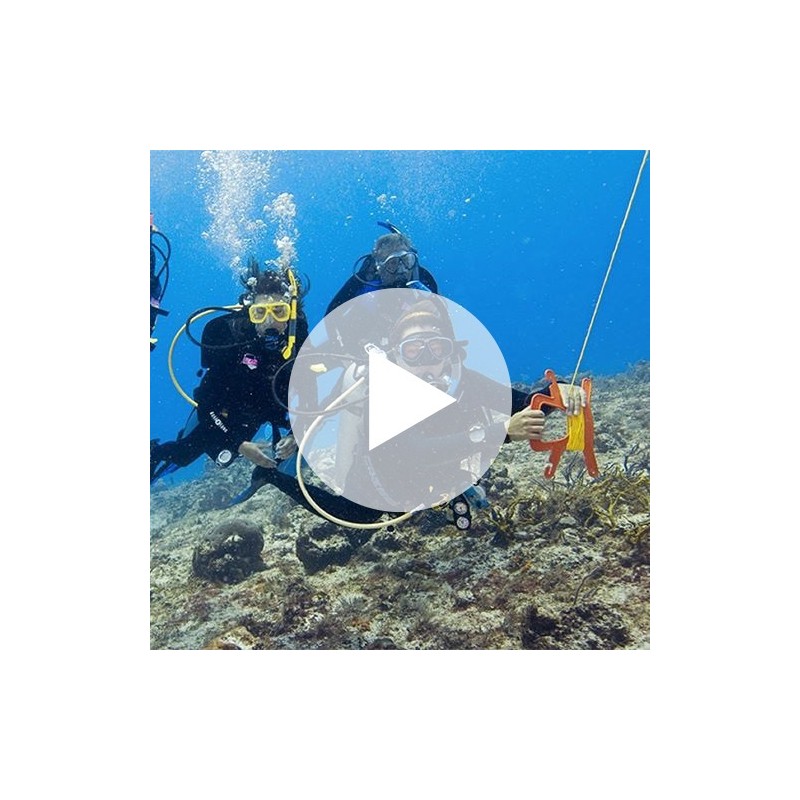 Digital - Drift Diver Video - Student Edition