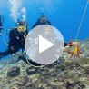 Digital - Drift Diver Video - Student Edition