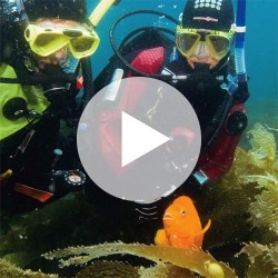 Digital - Dry Suit Diver Video - Student Edition
