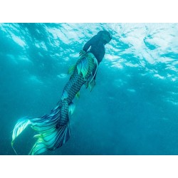 eLearning - Advanced Mermaid