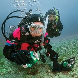 eLearning - Dive Against...