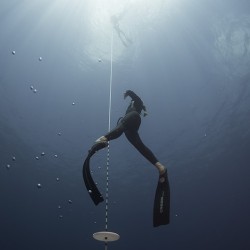 eLearning - Master Freediver